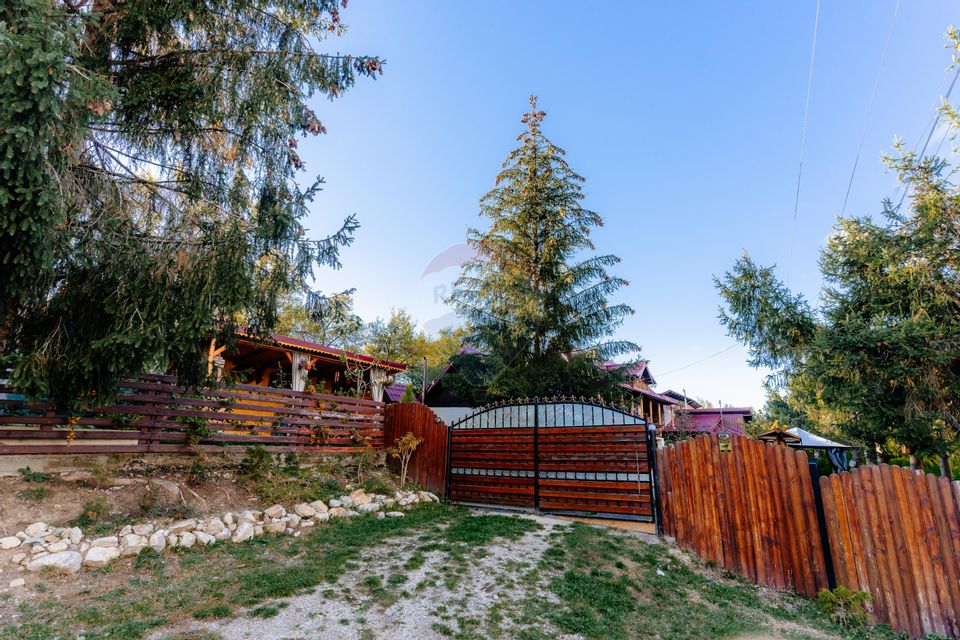 Vânzare pensiune renovată 2025 – 6 camere, Corbșori (Poenari)