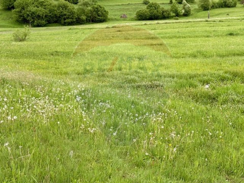 Land 20,876sqm Breb / Drumul Principal