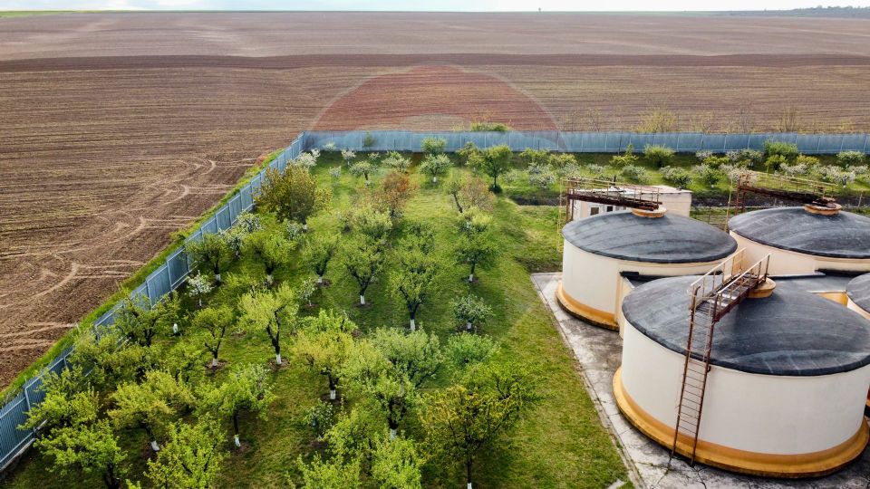 Crama din Buciumeni Afacere la cheie