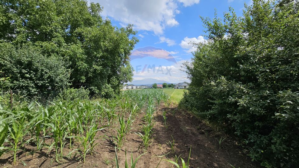 Casă / Vilă, teren 1700mp,  în Lisaura-Ipotești, Suceava
