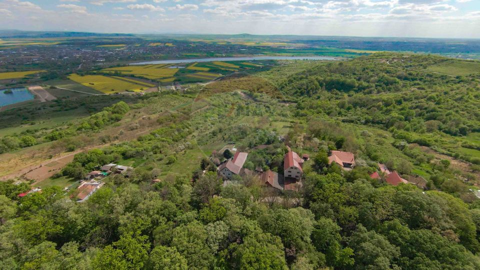 De vânzare casă și teren 1.425 mp - Podgoria