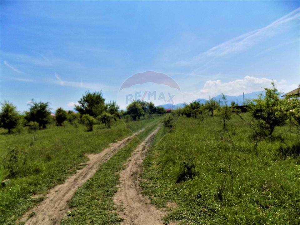 Teren 1287 mp Sanpetru Livada