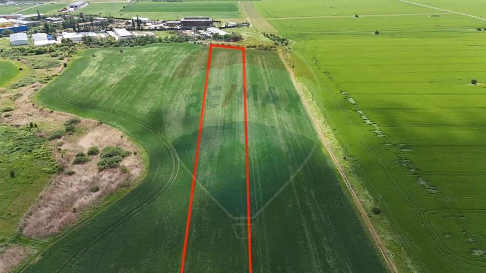 Land for sale Chitila / house plots / Investment / built-up area