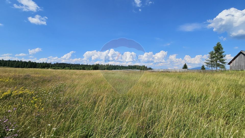 Teren parțial intravilan 30,930 mp Poiana Stampei-DN E58, Suceava