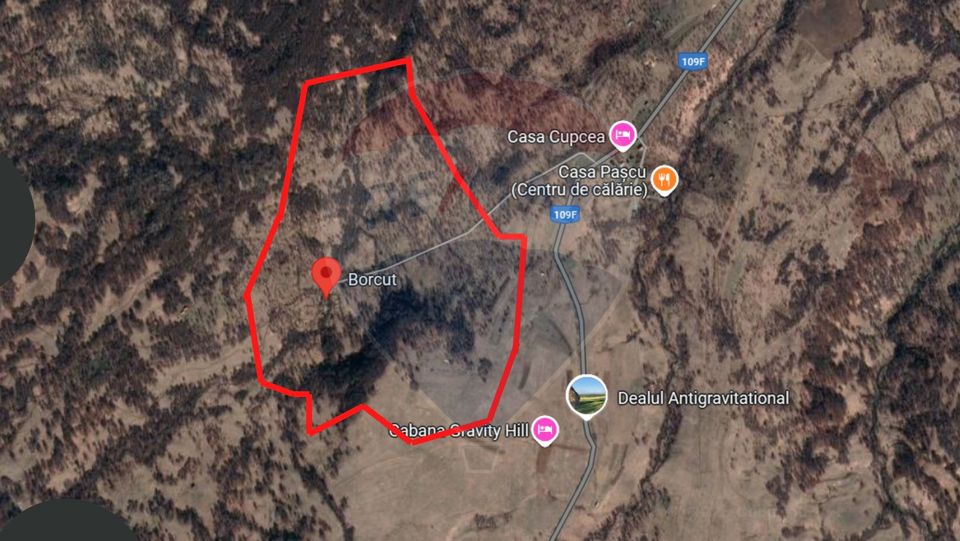 Land 93,334sqm Ocna Sugatag / Drumul Principal