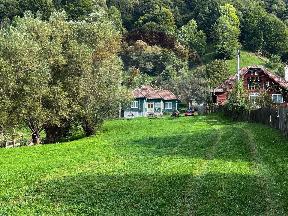 Land 6,135sqm Moieciu de Jos / Strada Principala