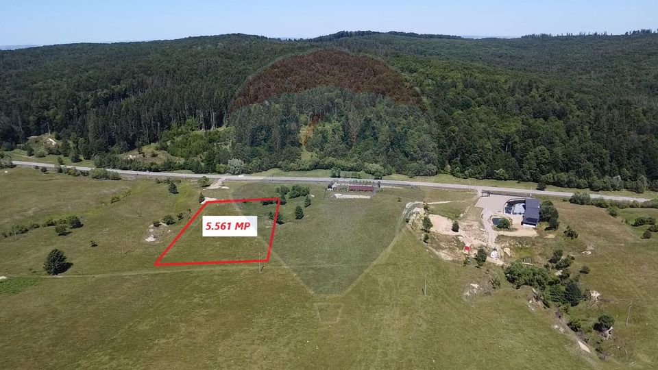 Land 5,561sqm Paltinoasa / Strada principala