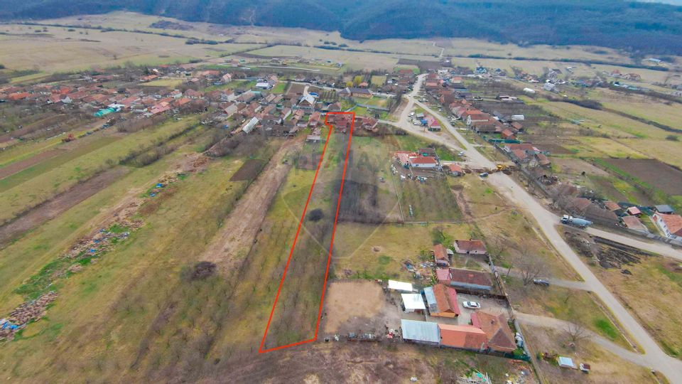 De vânzare Casā + Teren 2685 mp Intravilan, Betfia, Bihor