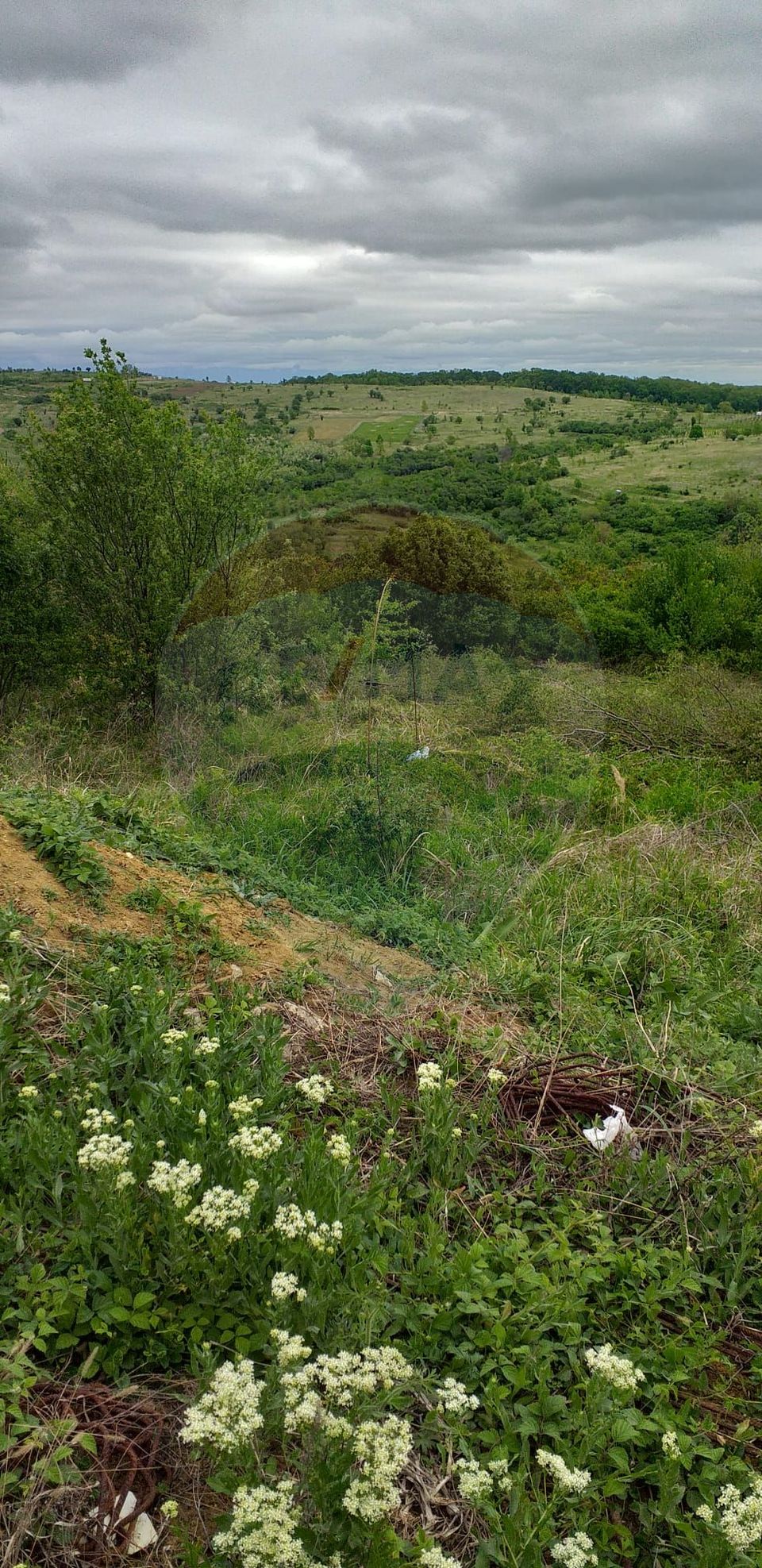 Teren 1826mp de vânzare în zona Gheorghe Doja, Oradea