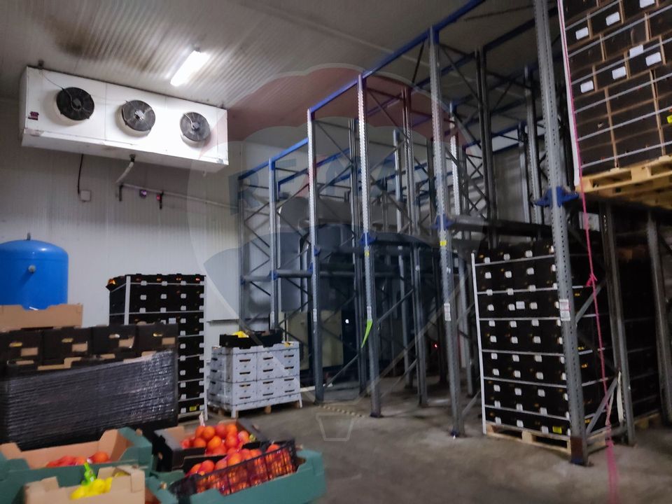 Depozit frigorific  hala ideal legume, fructe, flori