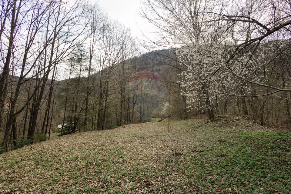 Land 30,283sqm Cazaci / Strada Principala DC 135