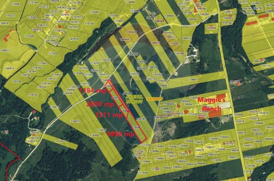 Teren Rasnov, Valea Panicelului 4253mp, izvor pe teren