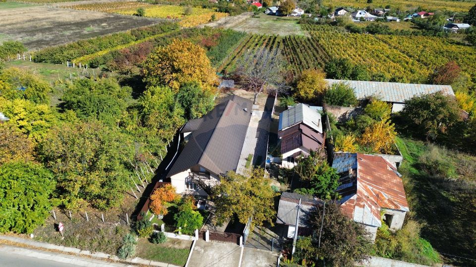 Casă Tifesti teren si vie