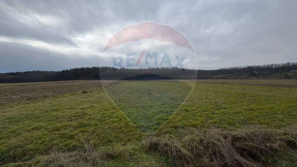 Land 8,630sqm Culcea / Drumul Padurii