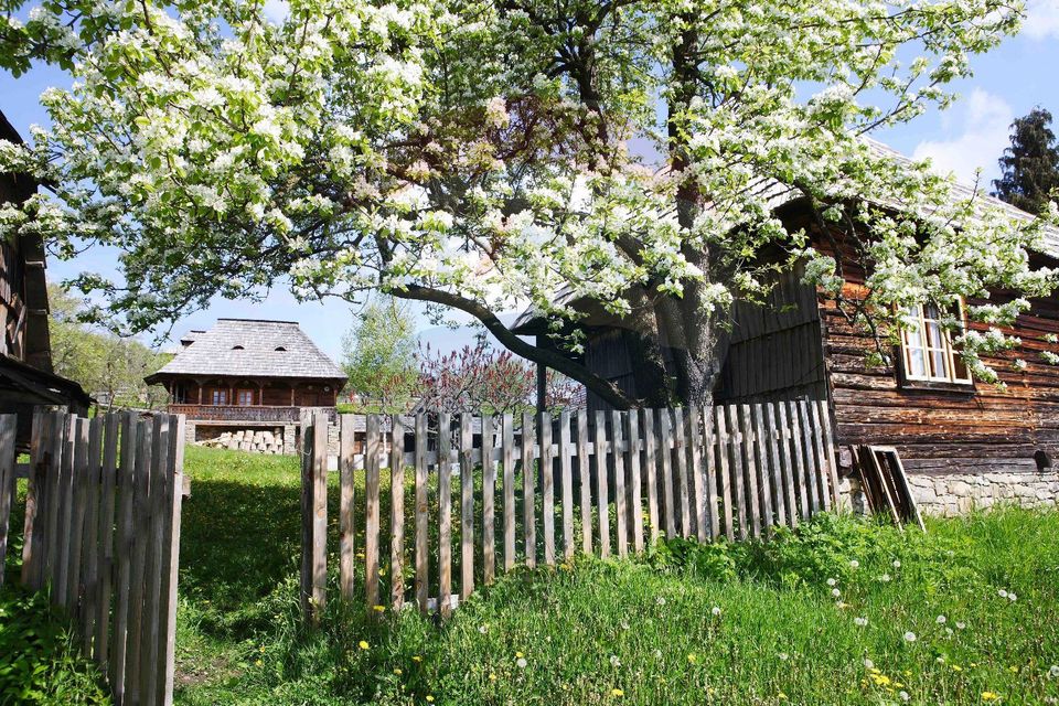 9 room Hotel / Pension for sale