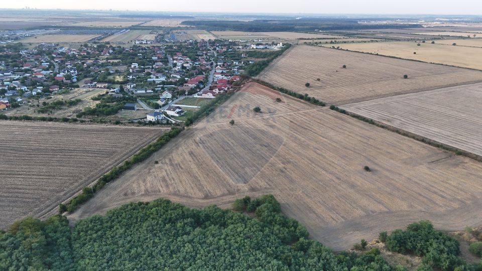 Teren investitie, intravilan Tamasi / Buftea