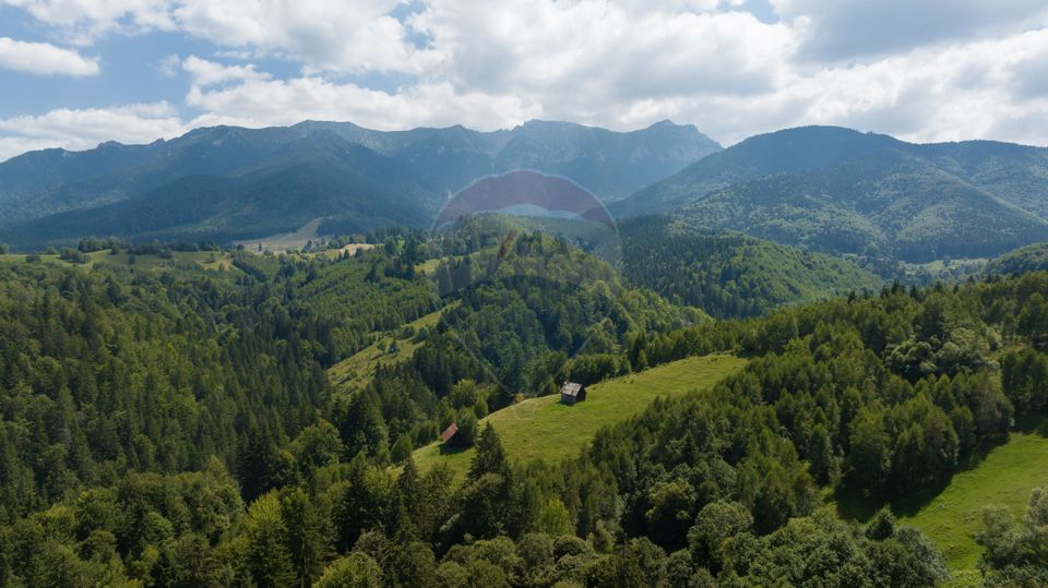Teren Panoramic in Bran – Vedere spre Bucegi & Piatra Craiului