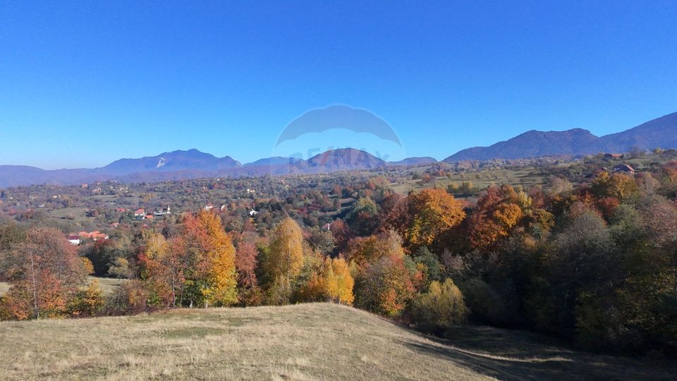 Land 3,500sqm Bran / Strada Bradul Inalt