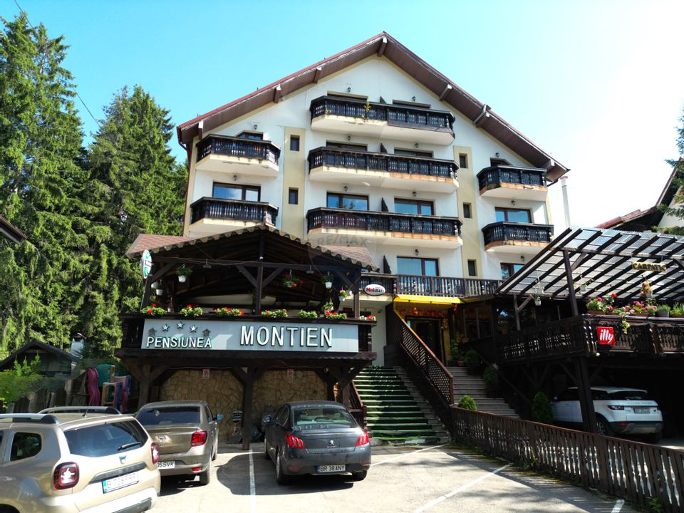 14 room Hotel / Pension for sale, Vladet - Trei Brazi area