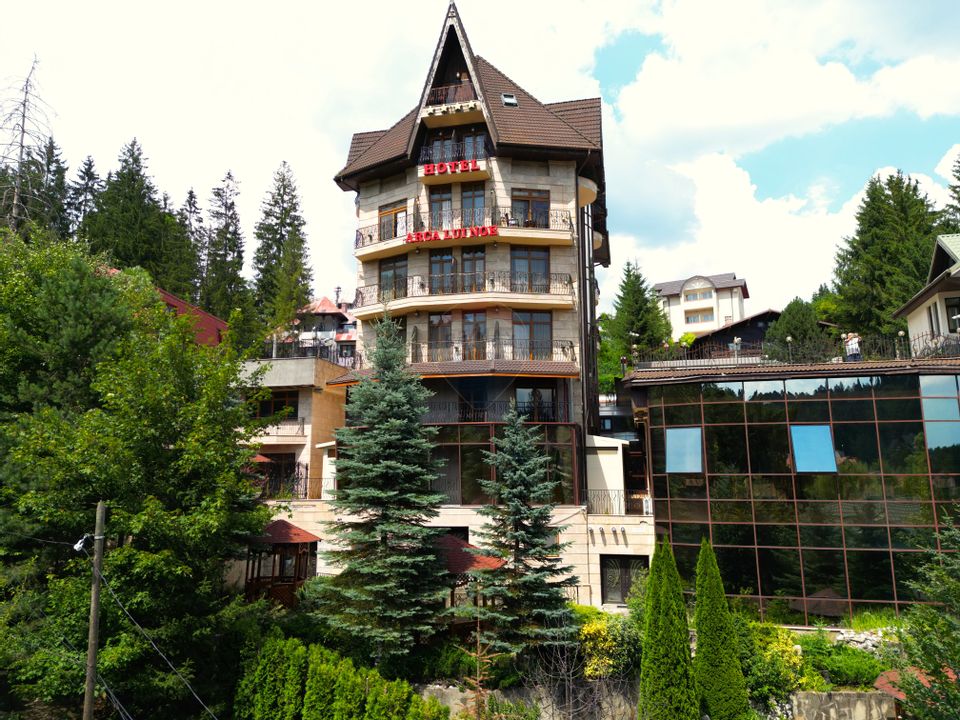 36 room Hotel / Pension for sale, Furnica area