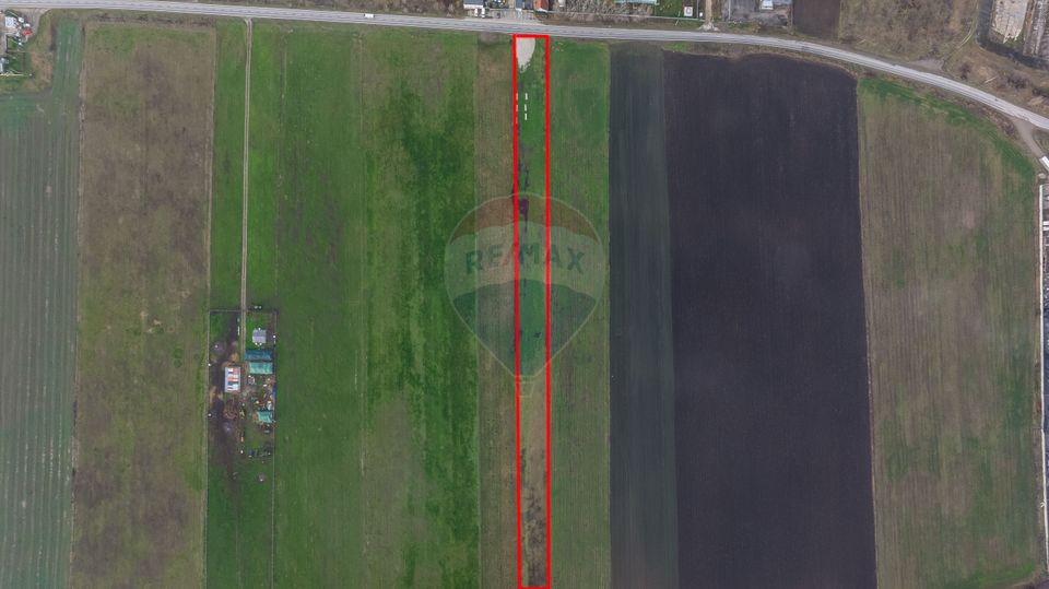 Land 10,000sqm Codlea / Strada Halchiului