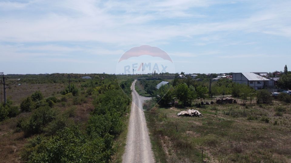 Land 40,000sqm Mogosoaia / Strada Teiului