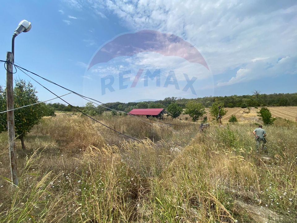 Teren cu hală, Bucsani, Crevedia / DN 61 (A1, A0) 40 Km de București