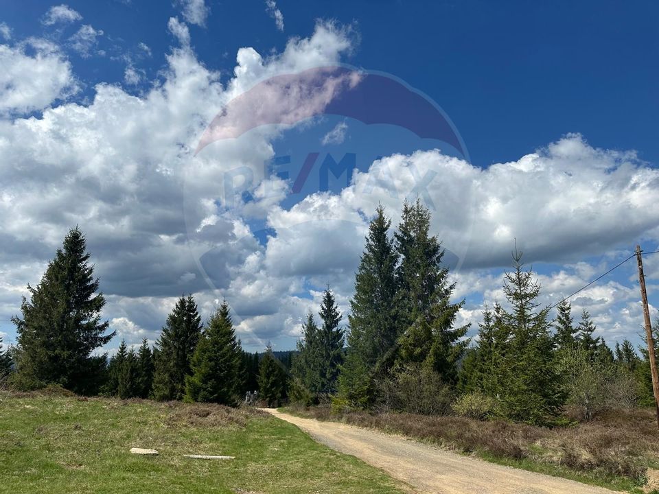 Land 8,572sqm Balcesti (Belis) / Strada Principala