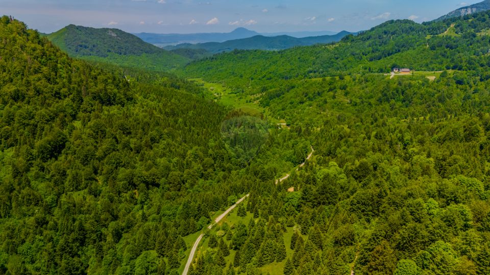 Teren extravlan 14,400mp Paraul Rece / Strada 3 brazi