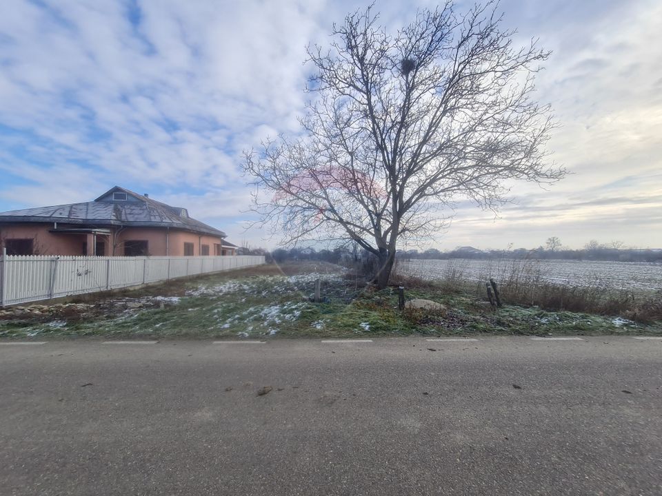 Land 1,564sqm Gologanu / Strada Ciocarliei