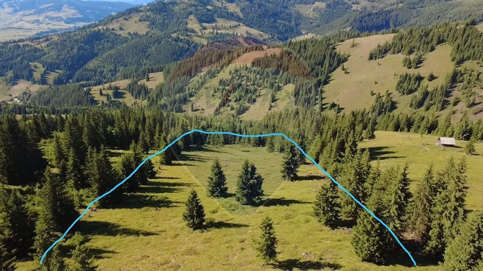 Teren 24,581mp Panaci / Strada Mihăileț