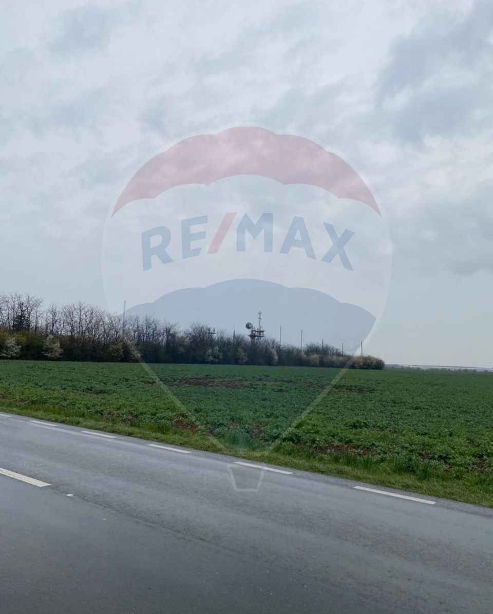 Land for Sale Găneasa Ilfov | 500 m from DN | Residential/Industrial