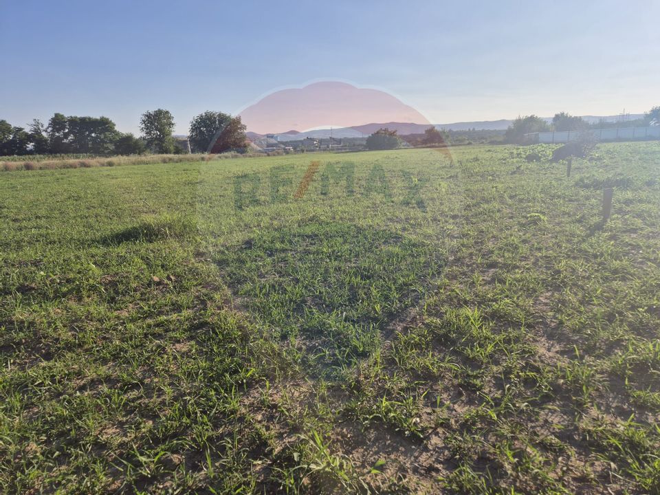 Teren 5,000mp Rusi-Ciutea / Strada Margaretelor