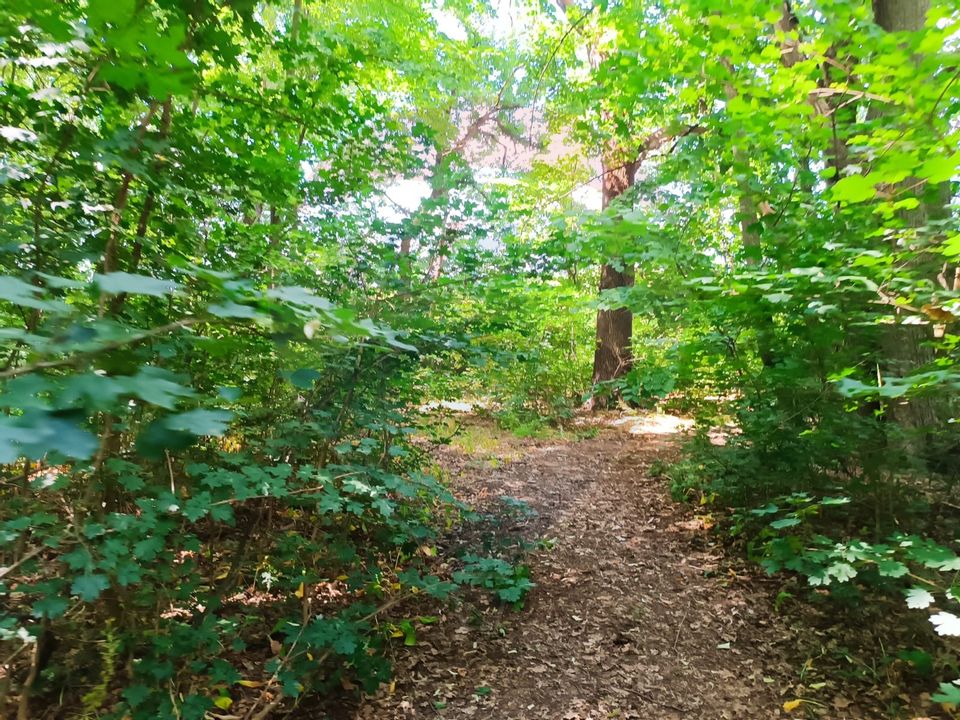 Land 1,870sqm Balteni / Strada Biserica Sfantul Stefan