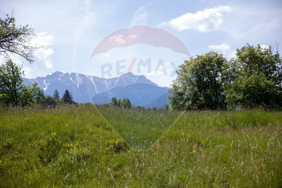 Land 3,150sqm Bran / Strada General Traian Mosoiu