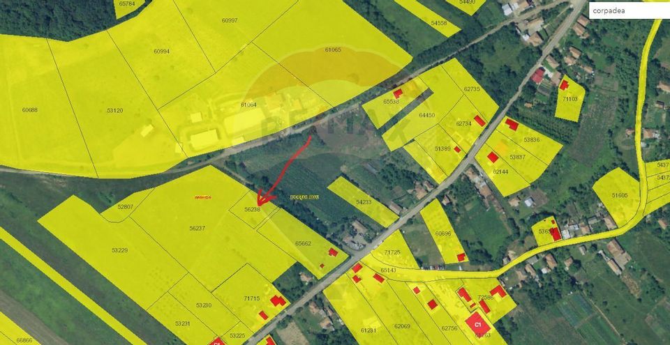 Teren de vanzare in Corpadea! 1000 MP