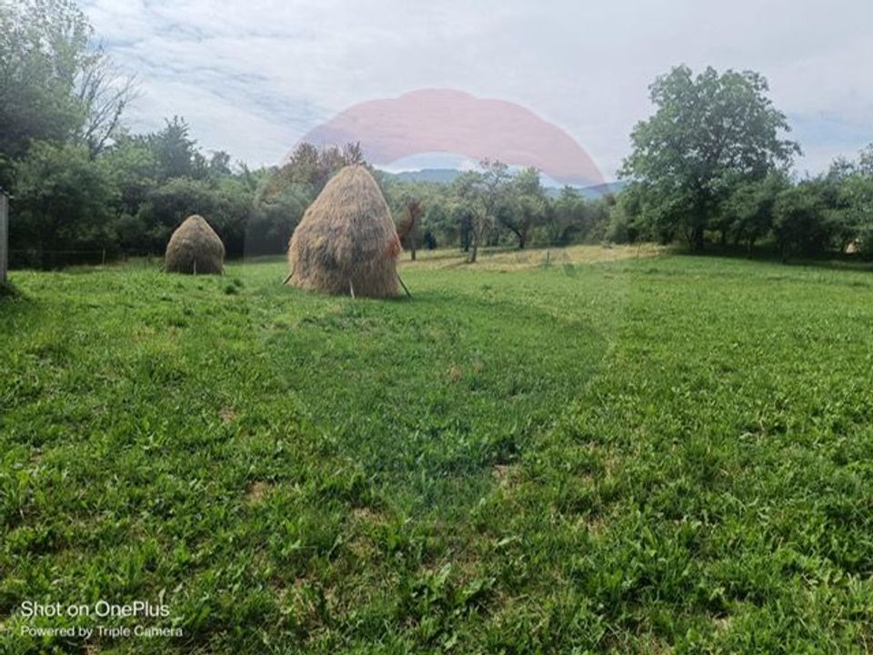 3 room House / Villa for sale