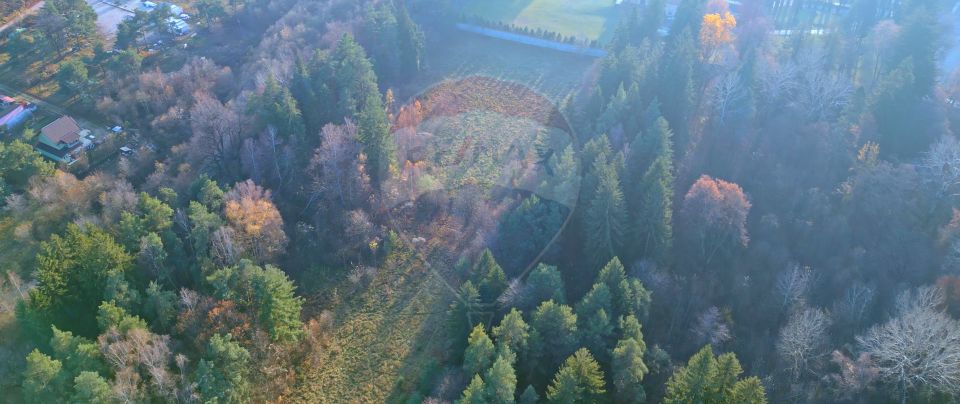 Land 10,000sqm Timisu de Jos / Strada Timișul de Jos