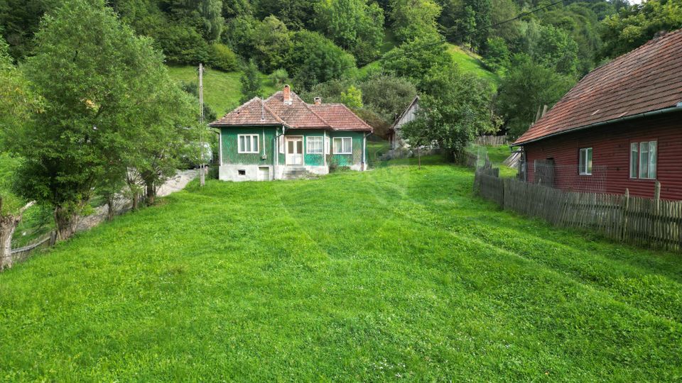 Land 6,135sqm Moieciu de Jos / Strada Principala