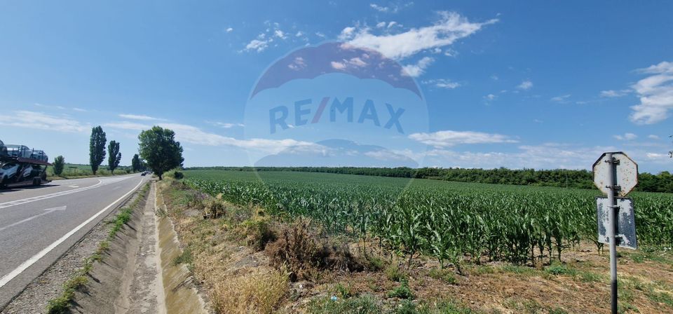 Land 32,000sqm Beresti-Bistrita / DN E85