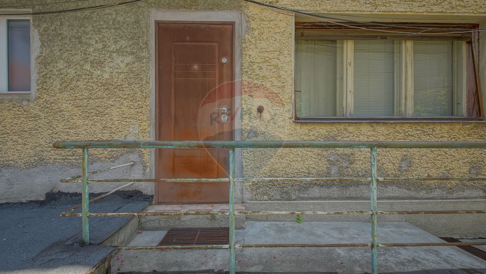 1 room Apartment for sale, Brasovul Vechi area