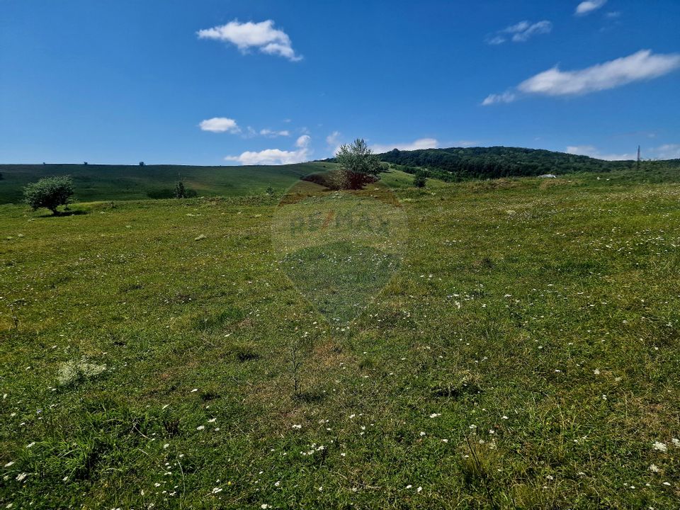 Land 5,000sqm Piatra-Neamt / Strada Punct Petruca