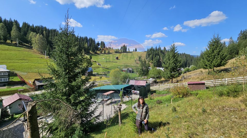 Casă / Vilă de vacanta in Dorna Arini, Suceava