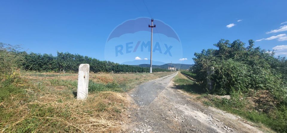 Land 50,500sqm Siria / DJ 709