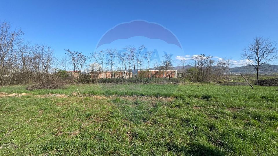 TEREN DE VÂNZARE ÎN MERISOR