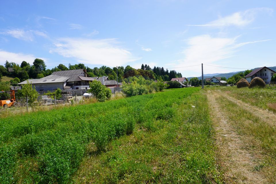 Teren 1,687mp Sighetu Marmatiei / Strada Doboies