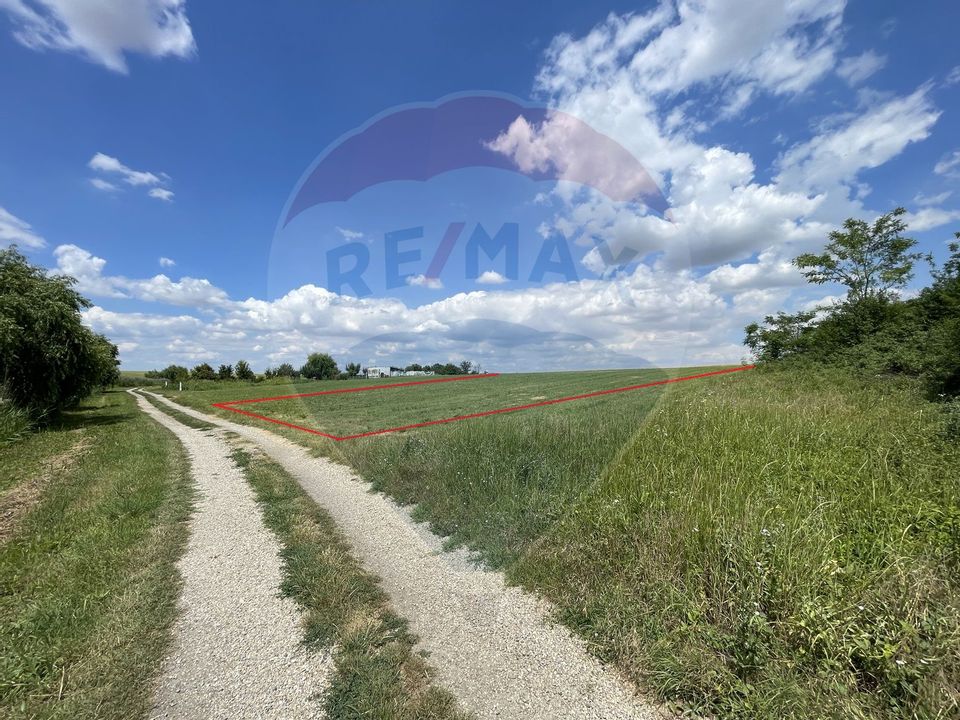 Land 4350sqm | Lacul Pasarea, Frumusani