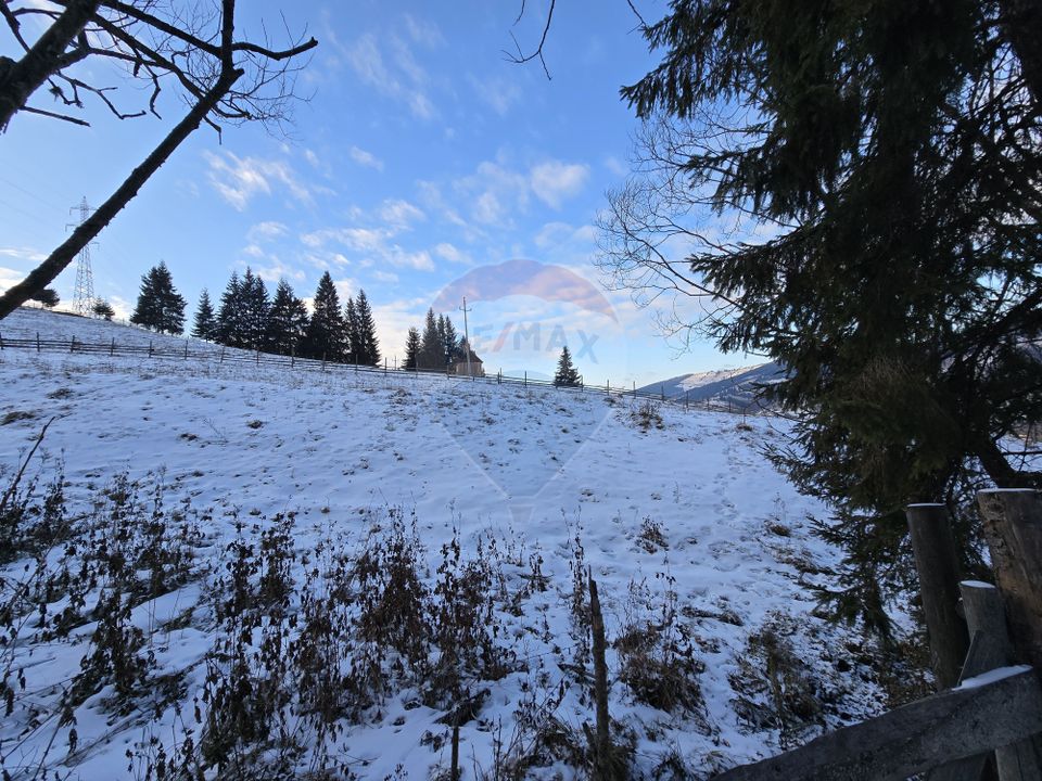 Teren 2,833mp Vatra Dornei / None