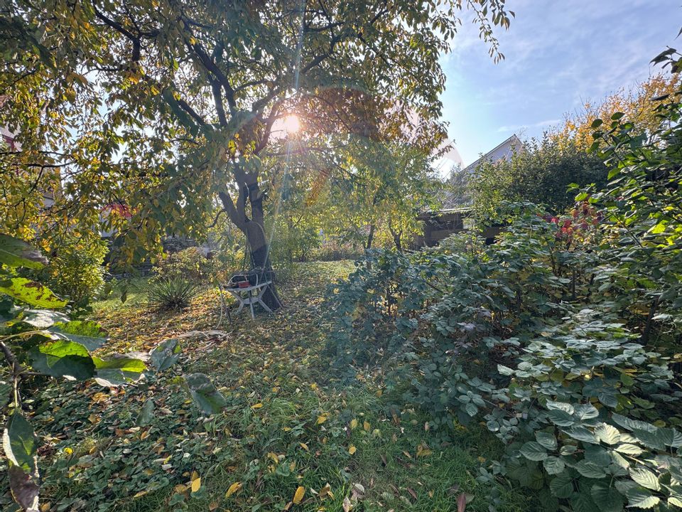 Casă / Vilă cu 5 camere de închiriat în zona Calea Romanului