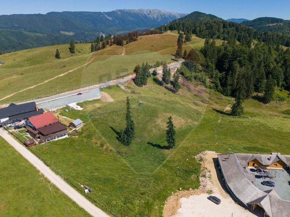 Teren 56599mp Dambovicioara / Soseaua DN 73Dealul sasului!